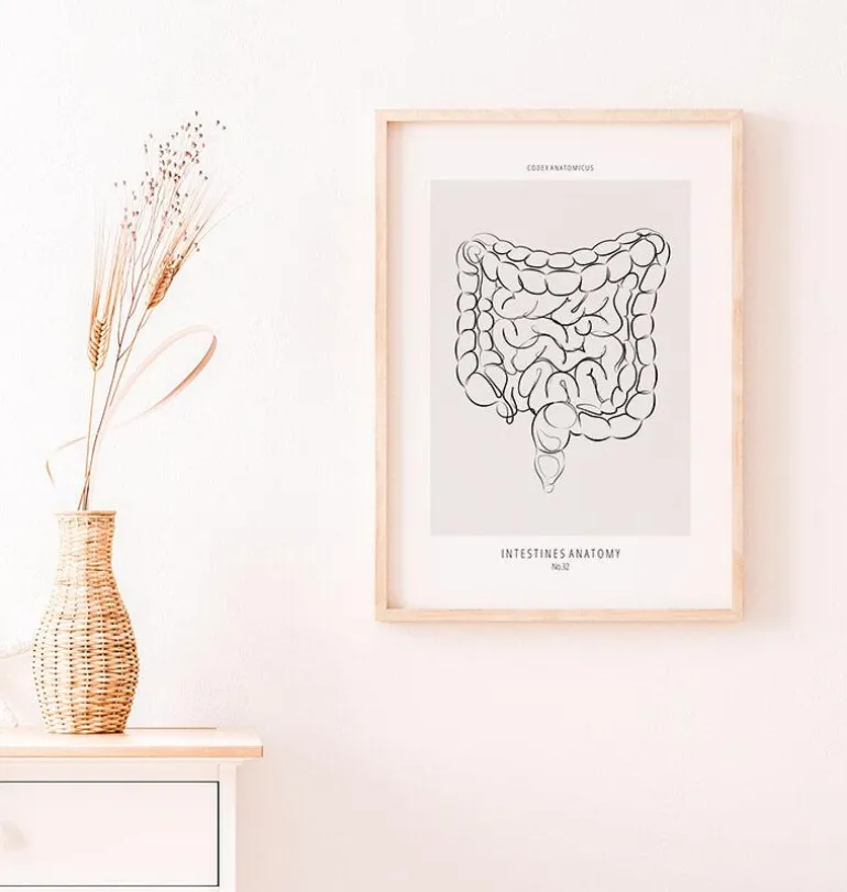Anatomie des intestins - Line Art