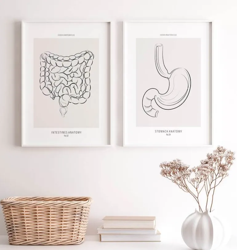 Anatomie des intestins - Line Art
