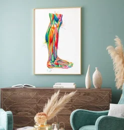 Anatomie des jambes - Aquarelle