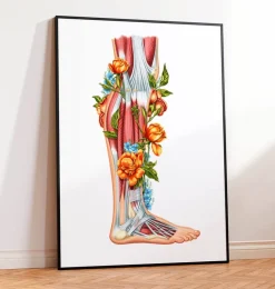 Anatomie des jambes - Floral - Blanc