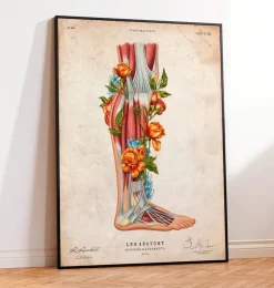 Anatomie des jambes - Floral - Vintage