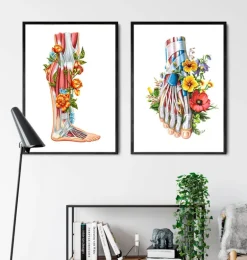 Anatomie des jambes - Floral - Blanc