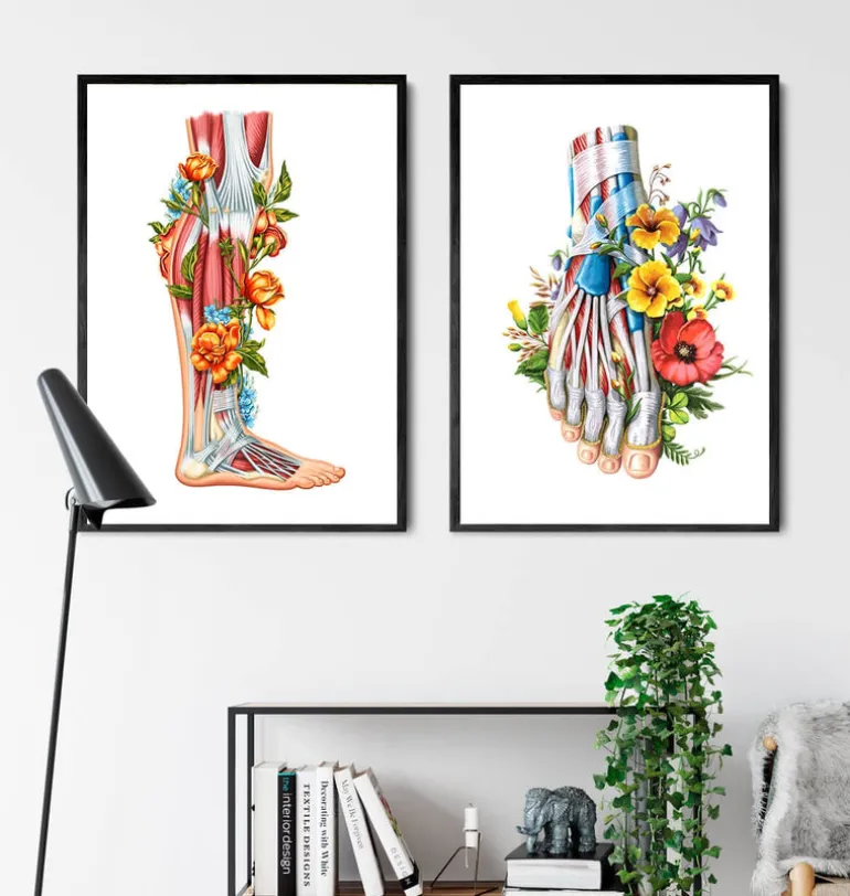 Anatomie des jambes - Floral - Blanc