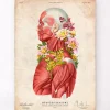 Anatomie des muscles - Floral - Vintage