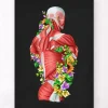 Anatomie des muscles - Floral - Noir