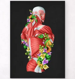 Anatomie des muscles - Floral - Noir