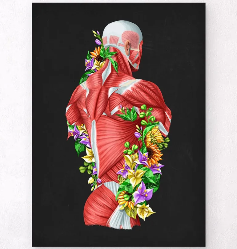 Anatomie des muscles - Floral - Noir