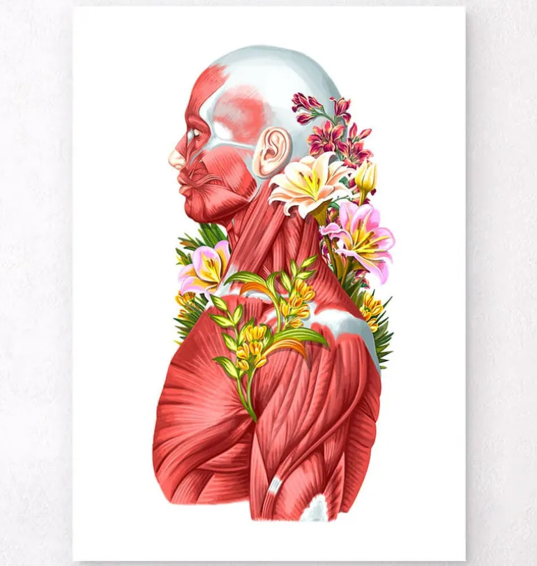 Anatomie des muscles - Floral - Blanc