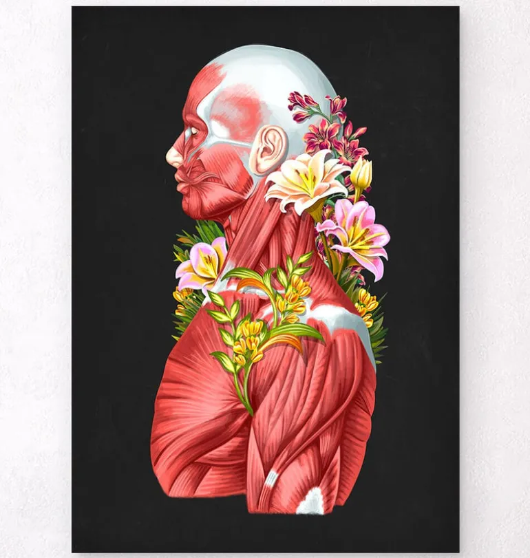 Anatomie des muscles - Floral - Noir
