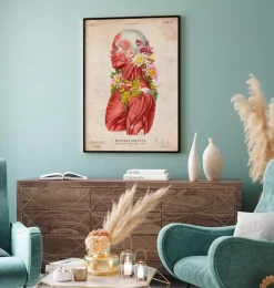 Anatomie des muscles - Floral - Vintage