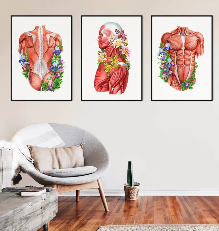 Anatomie des muscles - Floral - Blanc