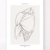 Anatomie des muscles de l'épaule - Line Art