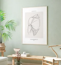 Anatomie des muscles de l'épaule - Line Art