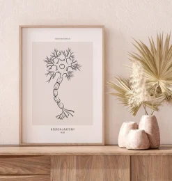 Anatomie des neurones - Line Art
