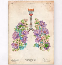 Anatomie des poumons - Floral - Vintage