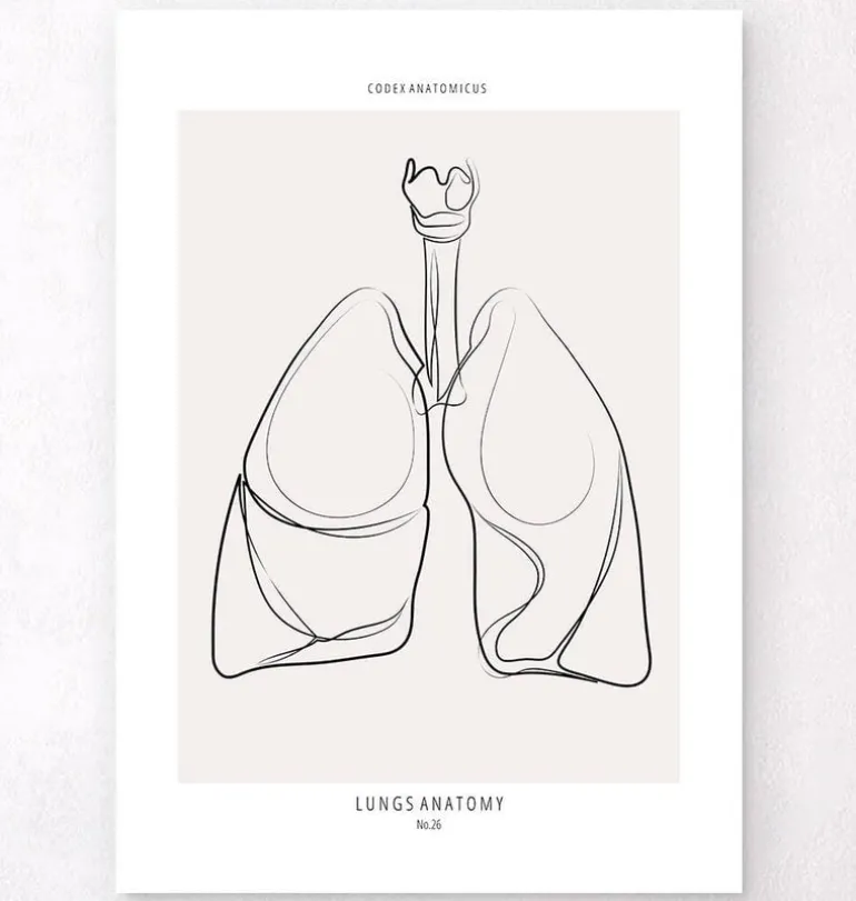 Anatomie des poumons - Line Art