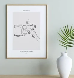 Anatomie des vertèbres - Line Art
