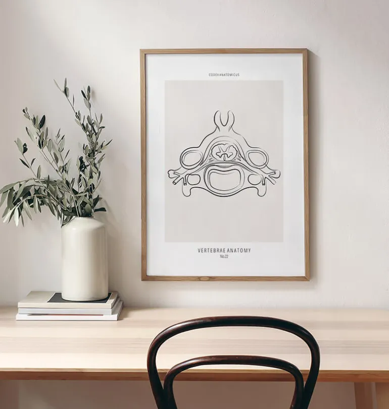 Anatomie des vertèbres II - Line Art