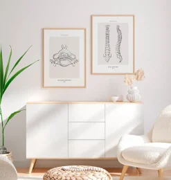 Anatomie des vertèbres II - Line Art