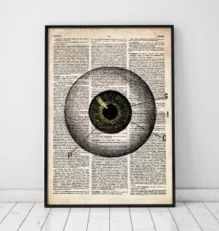 Anatomie des yeux - Dictionnaire