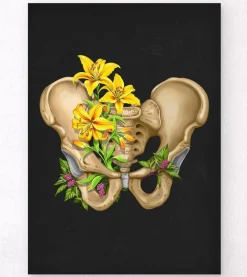 Anatomie du bassin - Floral - Noir