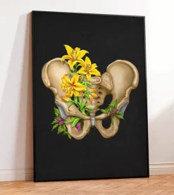 Anatomie du bassin - Floral - Noir