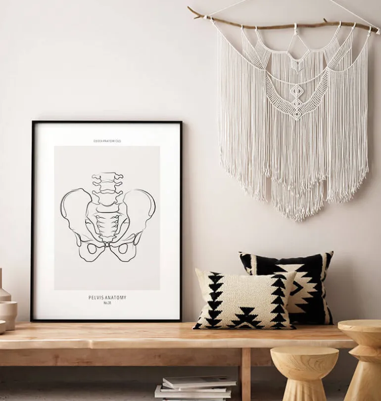 Anatomie du bassin - Line Art
