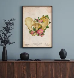 Anatomie du bassin - Vintage