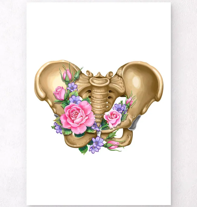 Anatomie du bassin féminin - Floral - Blanc