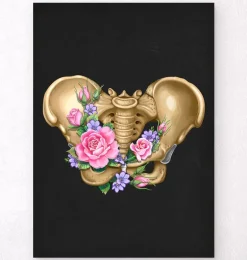 Anatomie du bassin féminin - Floral - Noir