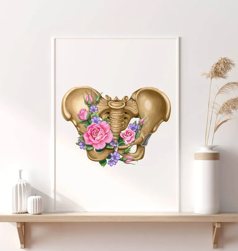 Anatomie du bassin féminin - Floral - Blanc