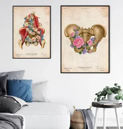 Anatomie du bassin féminin - Floral - Vintage