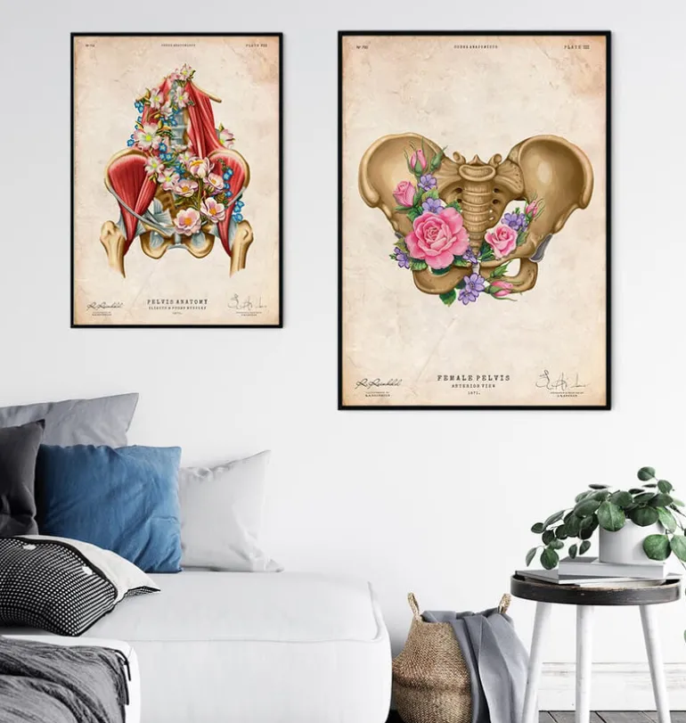 Anatomie du bassin féminin - Floral - Vintage