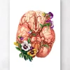 Anatomie du cerveau - Floral