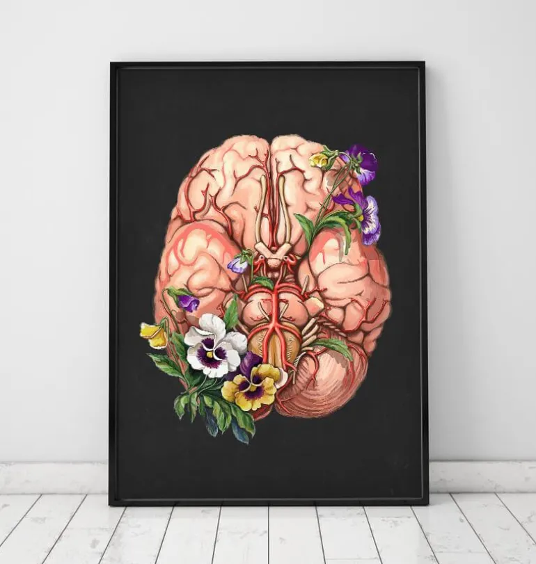 Anatomie du cerveau - Floral - Noir