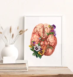 Anatomie du cerveau - Floral