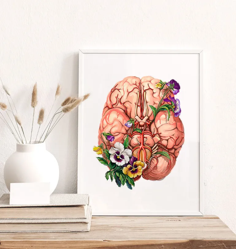 Anatomie du cerveau - Floral