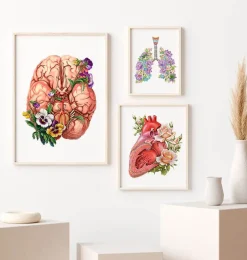 Anatomie du cerveau - Floral