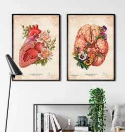 Anatomie du cerveau - Floral - Vieux papier