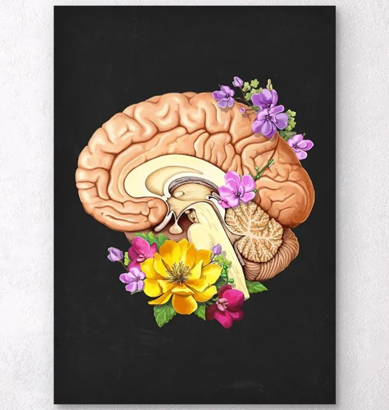 Anatomie du cerveau II - Floral - Noir