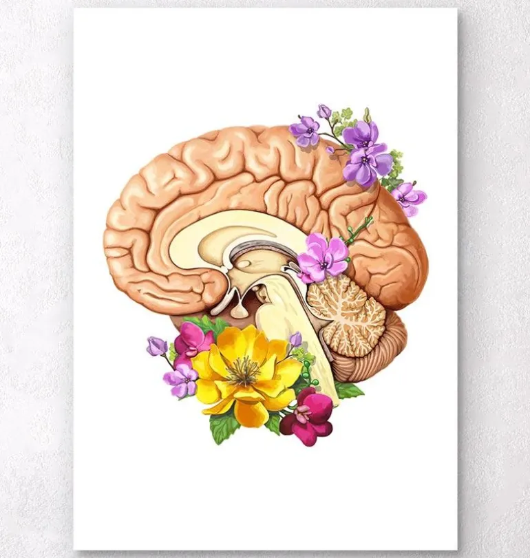 Anatomie du cerveau II - Floral - Blanc