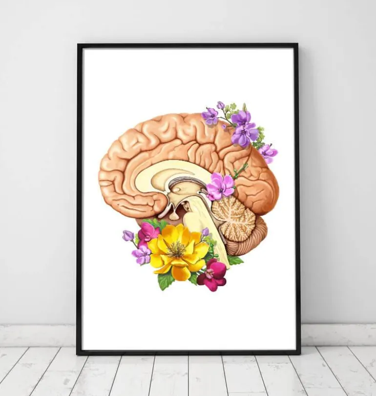 Anatomie du cerveau II - Floral - Blanc