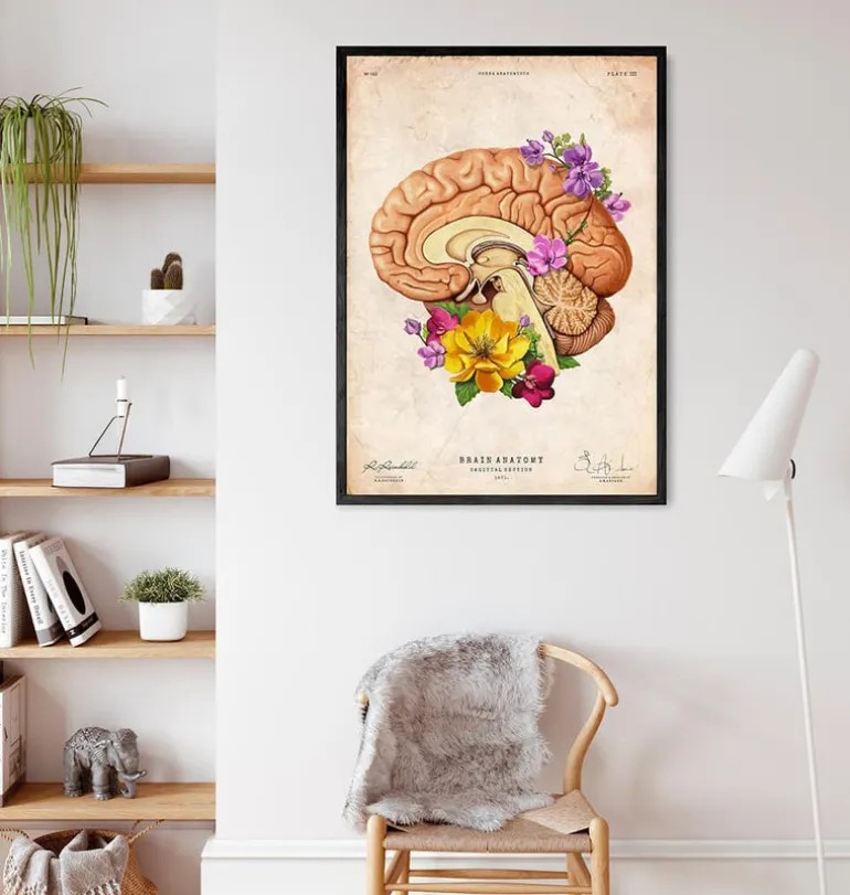Anatomie du cerveau II - Floral - Vieux papier