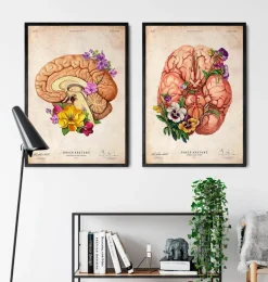 Anatomie du cerveau II - Floral - Vieux papier
