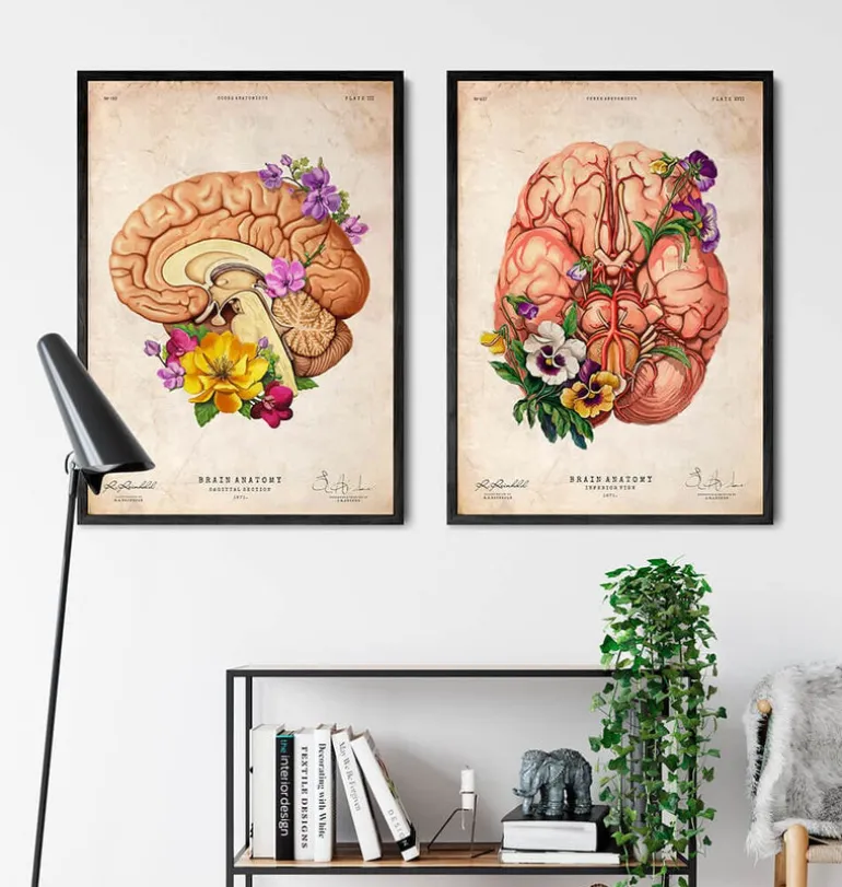 Anatomie du cerveau II - Floral - Vieux papier