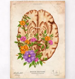 Anatomie du cerveau III - Floral - Vintage