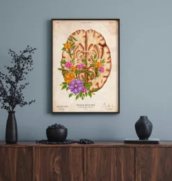 Anatomie du cerveau III - Floral - Vintage