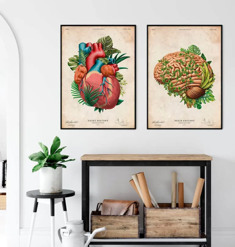 Anatomie du cerveau IV - Floral - Vintage