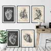 Anatomie du Coeur Vintage & Chalkboard - Lot de 5