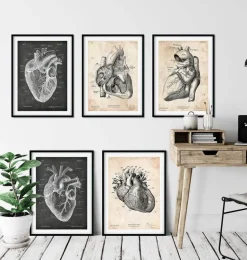 Anatomie du Coeur Vintage & Chalkboard - Lot de 5